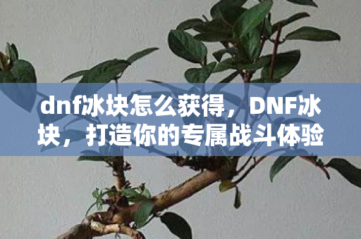 dnf冰块怎么获得,DNF冰块,打造你的专属战斗体验 dnf冰块怎么获得,DNF冰块,打造你的专属战斗体验