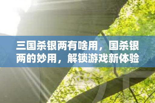 三国杀银两有啥用图片