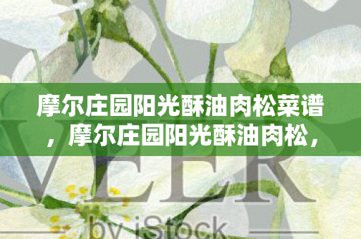 摩尔庄园阳光酥油肉松菜谱图片