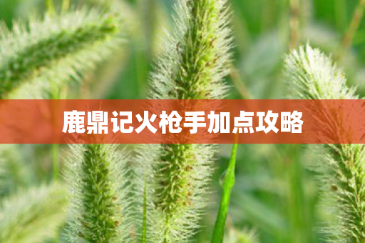 鹿鼎记火枪手加点攻略 鹿鼎记火枪手加点攻略