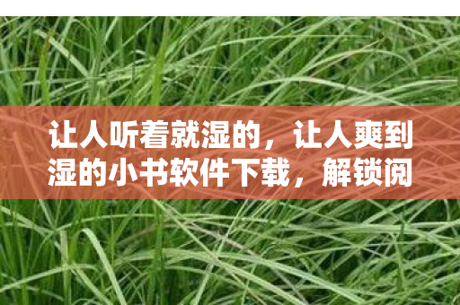 让人爽到湿的小书软件下载图片