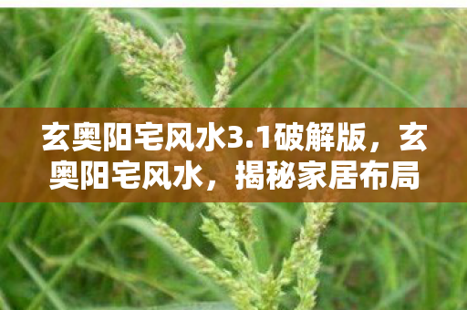 玄奥阳宅风水3.1破解版,玄奥阳宅风水,揭秘家居布局中的奥秘 玄奥阳宅风水3.1破解版,玄奥阳宅风水,揭秘家居布局中的奥秘