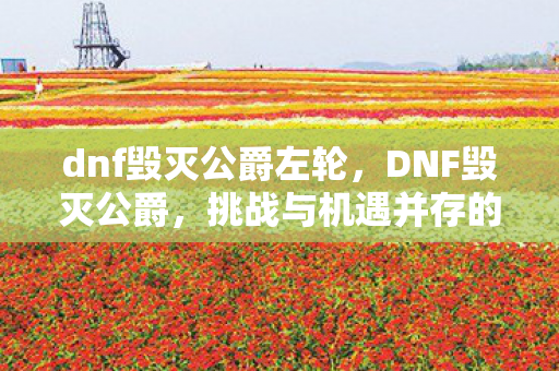 dnf毁灭公爵左轮，DNF毁灭公爵，挑战与机遇并存的异界之旅