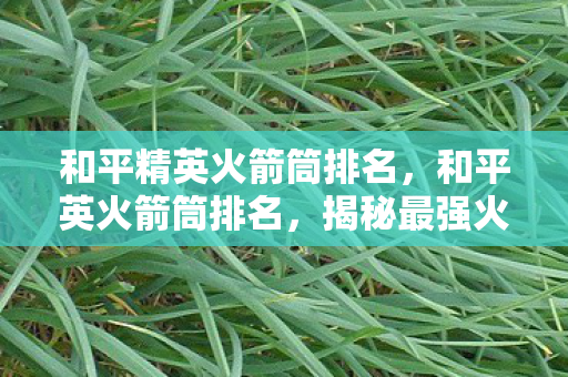 和平精英火箭筒排名,和平英火箭筒排名,揭秘最强火力支援神器 和平精英火箭筒排名,和平英火箭筒排名,揭秘最强火力支援神器