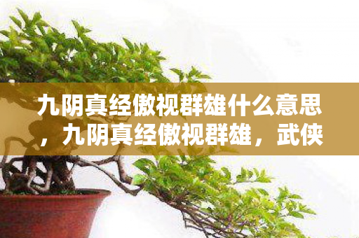 九阴真经傲视群雄什么意思，九阴真经傲视群雄，武侠世界的经典再现