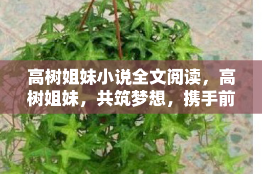 高树姐妹小说全文阅读,高树姐妹,共筑梦想,携手前行 高树姐妹小说全文阅读,高树姐妹,共筑梦想,携手前行
