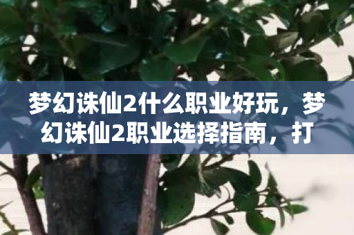 梦幻诛仙2什么职业好玩,梦幻诛仙2职业选择指南,打造你的专属角色 梦幻诛仙2什么职业好玩,梦幻诛仙2职业选择指南,打造你的专属角色