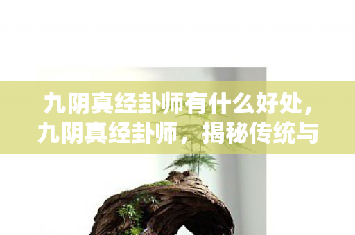 九阴真经卦师有什么好处，九阴真经卦师，揭秘传统与现代的融合