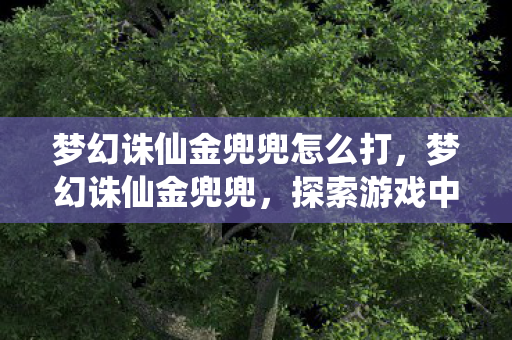 梦幻诛仙金兜兜怎么打,梦幻诛仙金兜兜,探索游戏中的奇妙世界 梦幻诛仙金兜兜怎么打,梦幻诛仙金兜兜,探索游戏中的奇妙世界