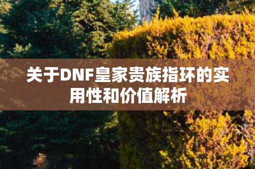 关于DNF皇家贵族指环的实用性和价值解析 关于DNF皇家贵族指环的实用性和价值解析