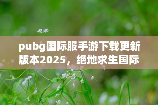 pubg国际服手游下载更新版本2025,绝地求生国际服手游,2023年全新下载更新指南 pubg国际服手游下载更新版本2025,绝地求生国际服手游,2023年全新下载更新指南