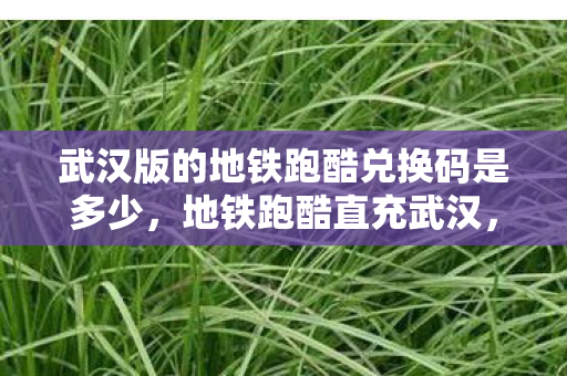 武汉版的地铁跑酷兑换码是多少,地铁跑酷直充武汉,解锁城市特色,畅游江城新风貌 武汉版的地铁跑酷兑换码是多少,地铁跑酷直充武汉,解锁城市特色,畅游江城新风貌