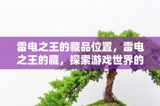 雷电之王的藏品位置,雷电之王的藏,探索游戏世界的神秘宝藏 雷电之王的藏品位置,雷电之王的藏,探索游戏世界的神秘宝藏