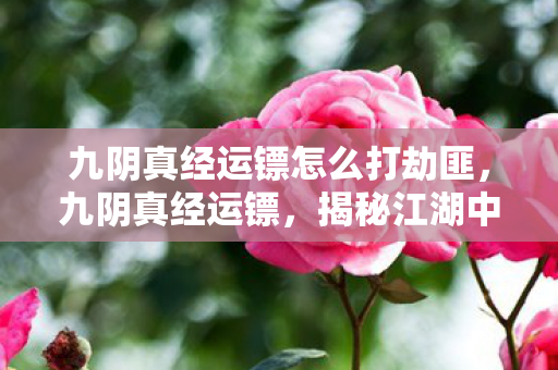 九阴真经运镖怎么打劫匪,九阴真经运镖,揭秘江湖中的神秘镖师与他们的传奇之旅 九阴真经运镖怎么打劫匪,九阴真经运镖,揭秘江湖中的神秘镖师与他们的传奇之旅