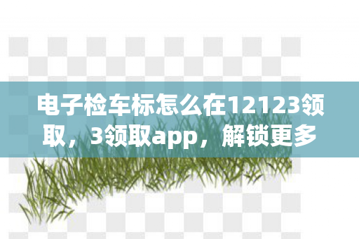 电子检车标怎么在12123领取,3领取app,解锁更多优惠,轻松领取福利 电子检车标怎么在12123领取,3领取app,解锁更多优惠,轻松领取福利