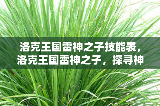 洛克王国雷神之子技能表,洛克王国雷神之子,探寻神秘力量的起源 洛克王国雷神之子技能表,洛克王国雷神之子,探寻神秘力量的起源