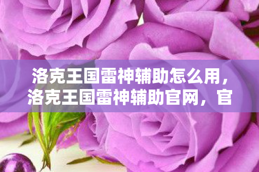 洛克王国雷神辅助怎么用,洛克王国雷神辅助官网,官方工具,安全高效 洛克王国雷神辅助怎么用,洛克王国雷神辅助官网,官方工具,安全高效