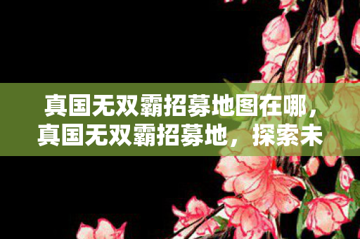 真国无双霸招募地图在哪,真国无双霸招募地,探索未知,共筑荣耀 真国无双霸招募地图在哪,真国无双霸招募地,探索未知,共筑荣耀