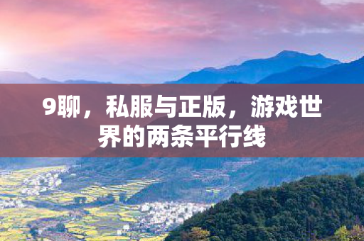 9聊,私服与正版,游戏世界的两条平行线 9聊,私服与正版,游戏世界的两条平行线
