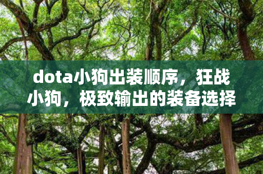 dota小狗出装顺序,狂战小狗,极致输出的装备选择 dota小狗出装顺序,狂战小狗,极致输出的装备选择