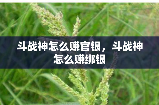 斗战神怎么赚官银,斗战神怎么赚绑银 斗战神怎么赚官银,斗战神怎么赚绑银