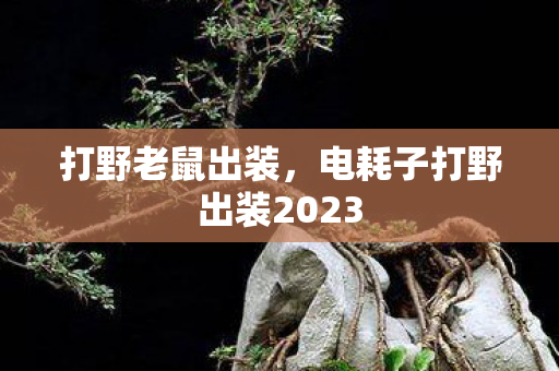 打野老鼠出装,电耗子打野出装2023 打野老鼠出装,电耗子打野出装2023