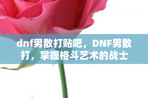 dnf男散打贴吧，DNF男散打，掌握格斗艺术的战士
