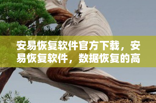 安易恢复软件官方下载，安易恢复软件，数据恢复的高效利器