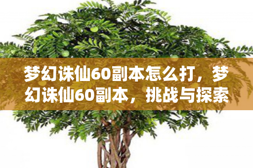 梦幻诛仙60副本怎么打，梦幻诛仙60副本，挑战与探索的奇妙之旅