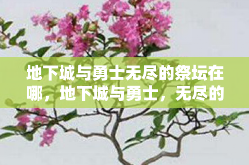 地下城与勇士无尽的祭坛在哪,地下城与勇士,无尽的祭坛—挑战与荣耀的交织 地下城与勇士无尽的祭坛在哪,地下城与勇士,无尽的祭坛—挑战与荣耀的交织