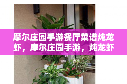 摩尔庄园手游餐厅菜谱炖龙虾,摩尔庄园手游,炖龙虾的美味探索 摩尔庄园手游餐厅菜谱炖龙虾,摩尔庄园手游,炖龙虾的美味探索