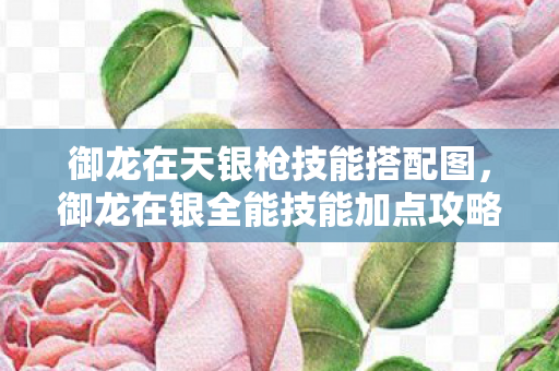 御龙在天银枪技能搭配图,御龙在银全能技能加点攻略 御龙在天银枪技能搭配图,御龙在银全能技能加点攻略