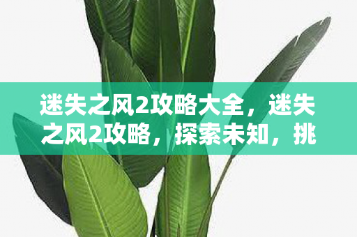 迷失之风2攻略大全,迷失之风2攻略,探索未知,挑战极限 迷失之风2攻略大全,迷失之风2攻略,探索未知,挑战极限