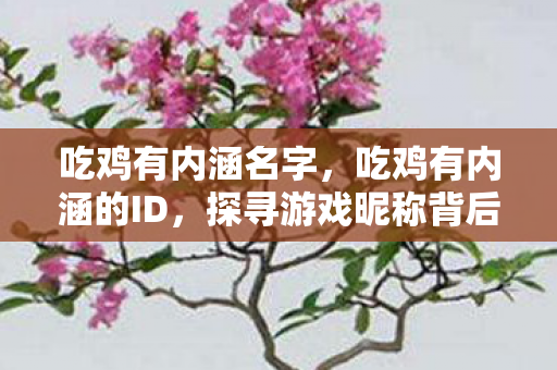 吃鸡有内涵名字，吃鸡有内涵的ID，探寻游戏昵称背后的深意