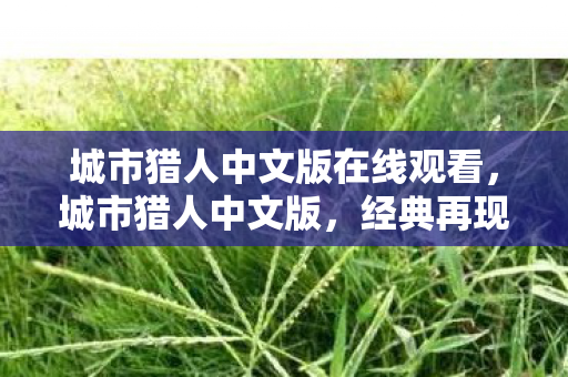 城市猎人中文版在线观看,城市猎人中文版,经典再现,魅力依旧 城市猎人中文版在线观看,城市猎人中文版,经典再现,魅力依旧