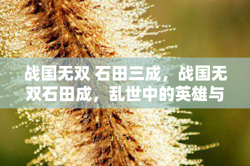 战国无双 石田三成,战国无双石田成,乱世中的英雄与传奇 战国无双 石田三成,战国无双石田成,乱世中的英雄与传奇