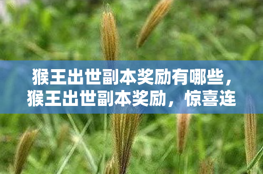 猴王出世副本奖励有哪些,猴王出世副本奖励,惊喜连连,丰厚奖励等你来拿! 猴王出世副本奖励有哪些,猴王出世副本奖励,惊喜连连,丰厚奖励等你来拿!