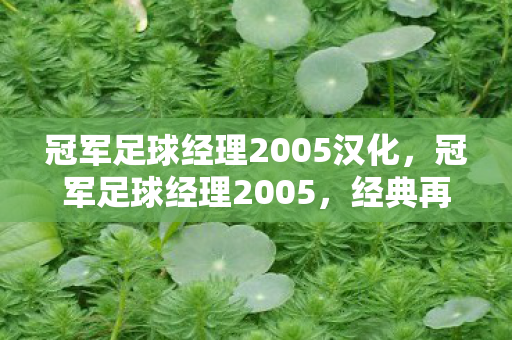 冠军足球经理2005汉化,冠军足球经理2005,经典再现,策略与激情的碰撞 冠军足球经理2005汉化,冠军足球经理2005,经典再现,策略与激情的碰撞
