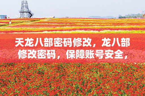 天龙八部密码修改,龙八部修改密码,保障账号安全,享受无忧游戏 天龙八部密码修改,龙八部修改密码,保障账号安全,享受无忧游戏