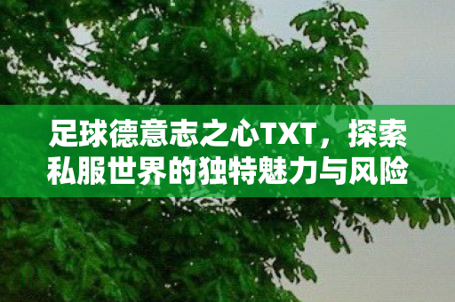 足球德意志之心TXT,探索私服世界的独特魅力与风险 足球德意志之心TXT,探索私服世界的独特魅力与风险