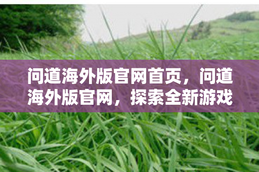 问道海外版官网首页图片
