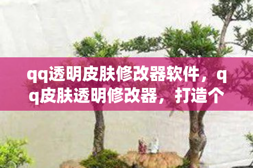 qq透明皮肤修改器软件,qq皮肤透明修改器,打造个性化QQ体验的新利器 qq透明皮肤修改器软件,qq皮肤透明修改器,打造个性化QQ体验的新利器