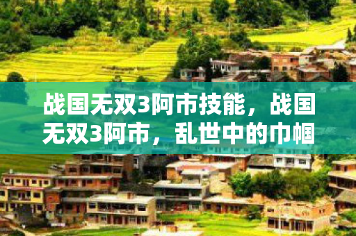 战国无双3阿市技能,战国无双3阿市,乱世中的巾帼英雄 战国无双3阿市技能,战国无双3阿市,乱世中的巾帼英雄