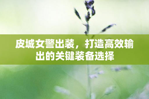 皮城女警出装，打造高效输出的关键装备选择