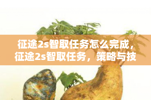 征途2s智取任务怎么完成图片
