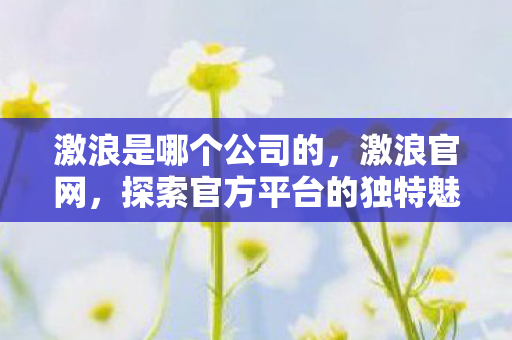 激浪是哪个公司的，激浪官网，探索官方平台的独特魅力与优势