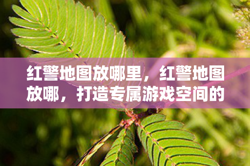 红警地图放哪里，红警地图放哪，打造专属游戏空间的秘密