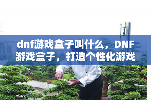 dnf游戏盒子叫什么,DNF游戏盒子,打造个性化游戏体验的必备神器 dnf游戏盒子叫什么,DNF游戏盒子,打造个性化游戏体验的必备神器