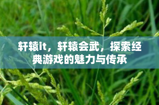 轩辕it,轩辕会武,探索经典游戏的魅力与传承 轩辕it,轩辕会武,探索经典游戏的魅力与传承
