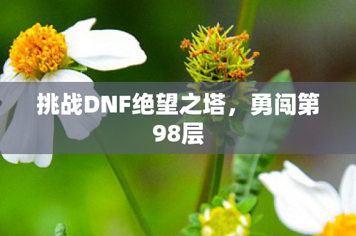 挑战DNF绝望之塔，勇闯第98层